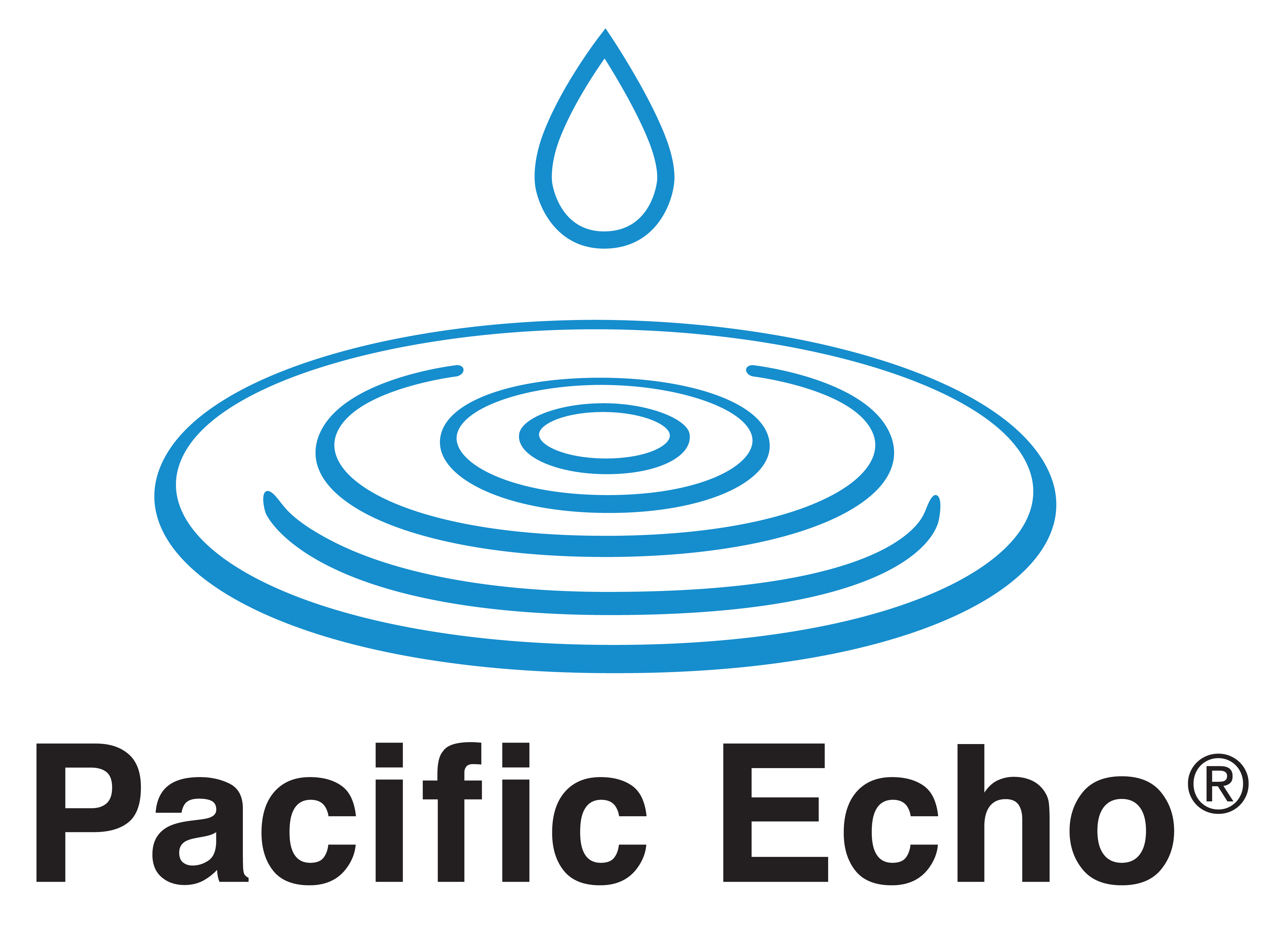 Pacific Echo Inc logo
