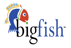 BigFish Publications