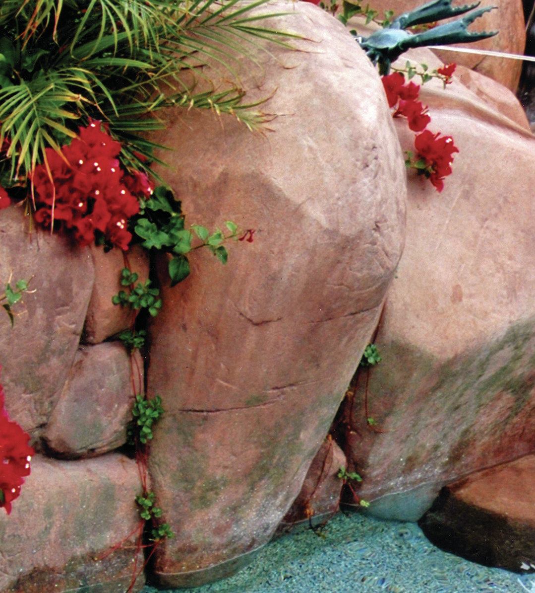 Common mistakes: These rocks don’t contain enough shading and appear flat. More color is needed to depict aging, shadowing and staining.