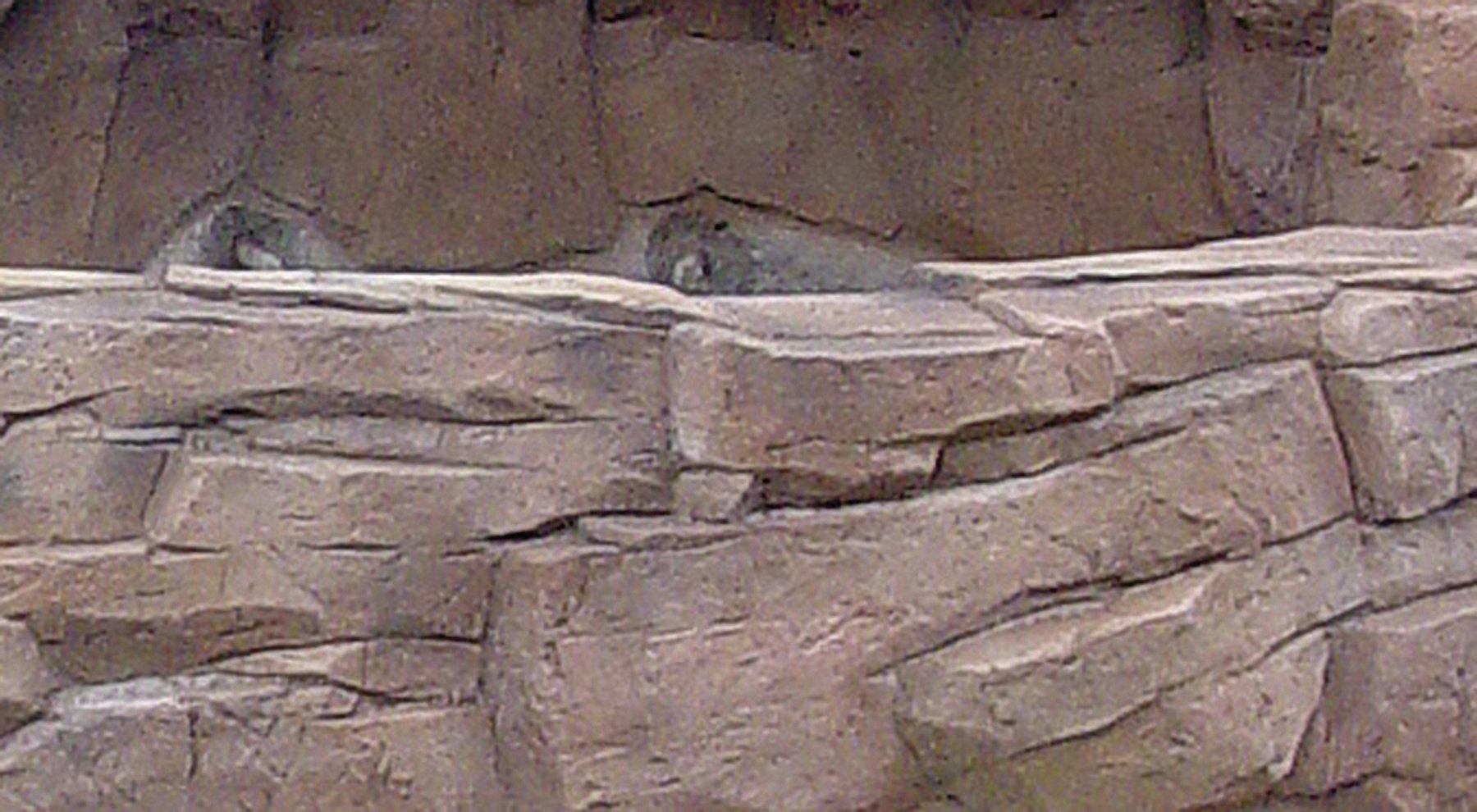 Common mistakes: Here, the grain cracks are so uniform they almost appear to be joints between stacked stone.