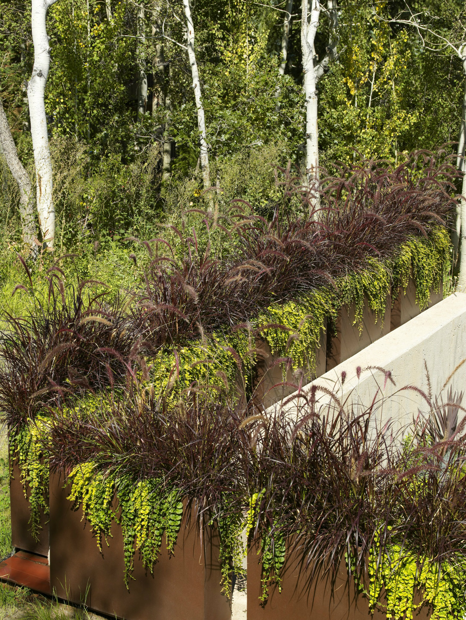 Custom planters add visual interest from above, while creating privacy below.