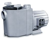 Speck Pumps produced the world’s first functioning,corrosion-resistant all-plastic pool pump,the BADU® 19.