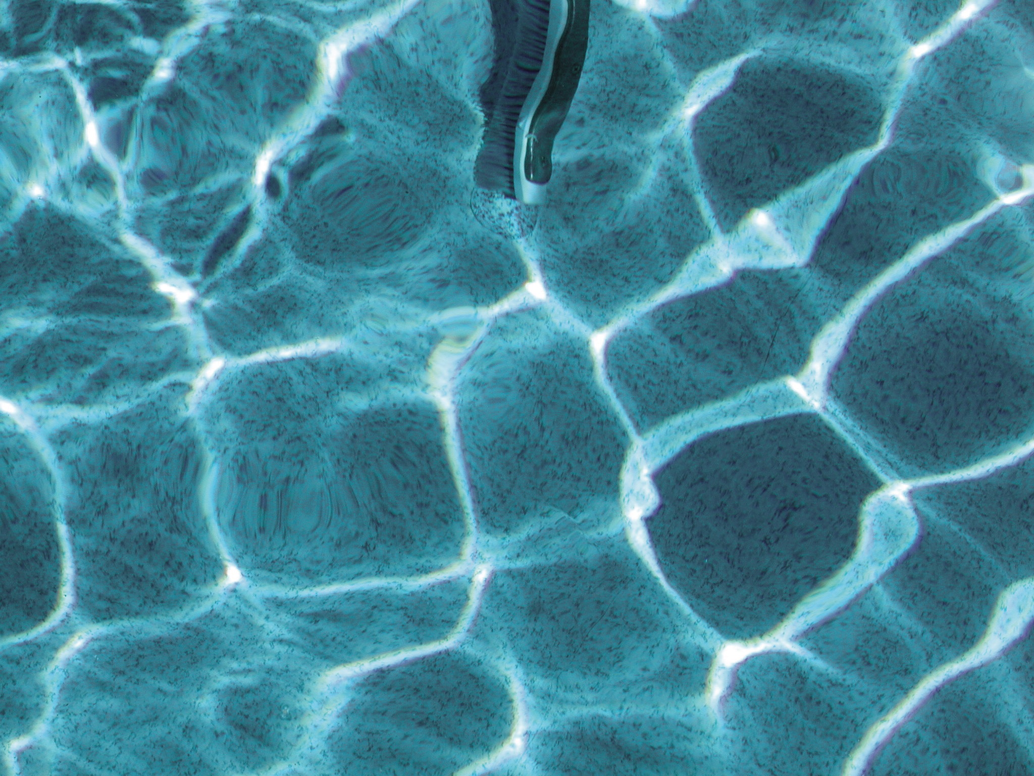 4. Once the patch is where it’s needed, put pressure on it by pushing down on the brush. This holds it in place until it’s dry, and it also helps smooth out any wrinkles.