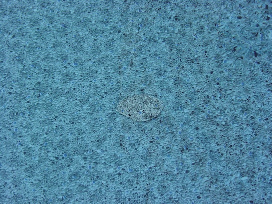 5. The patch is now in place, and the leak has been repaired. 