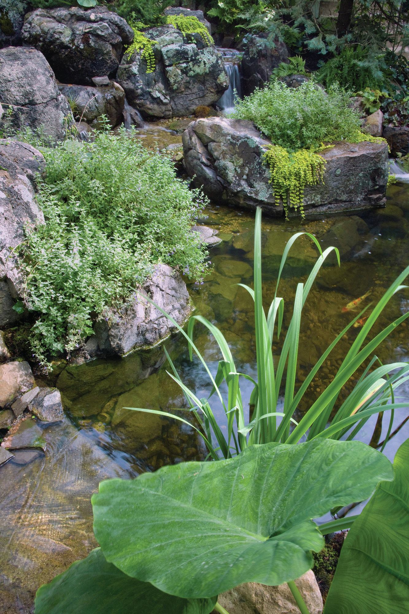 Laughing Waters inc., Palos Park Residence